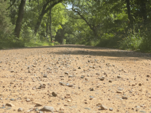 The Dirty Mitten Gravel Triathlon